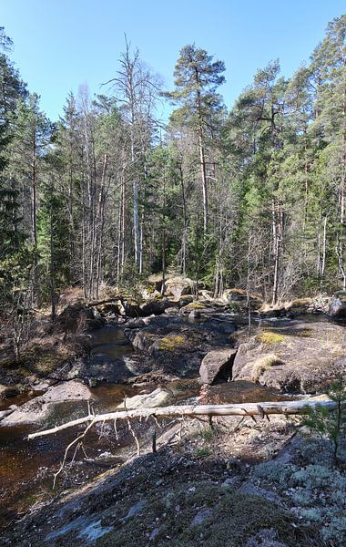 bach in schweden von Geertjan Plooijer
