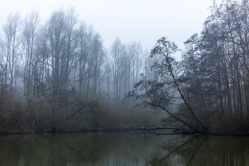 Vergessene Welt von Michel Kempers