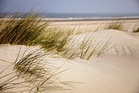 Dunes sur Spiekeroog, Basse-Saxe