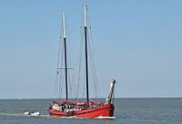 Het bruine vloot schip Mare Marieke