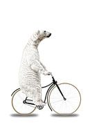 When you Think you've Seen Everything