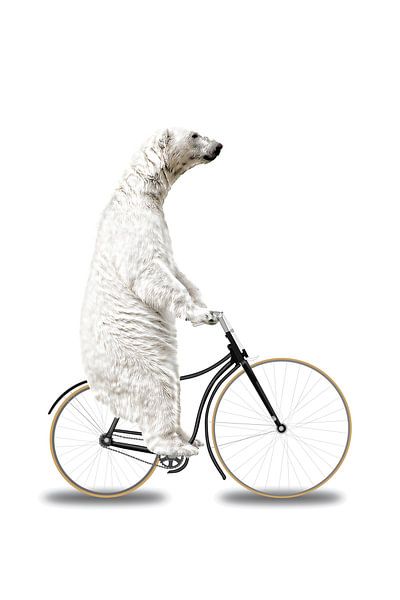 When you Think you've Seen Everything par Marja van den Hurk