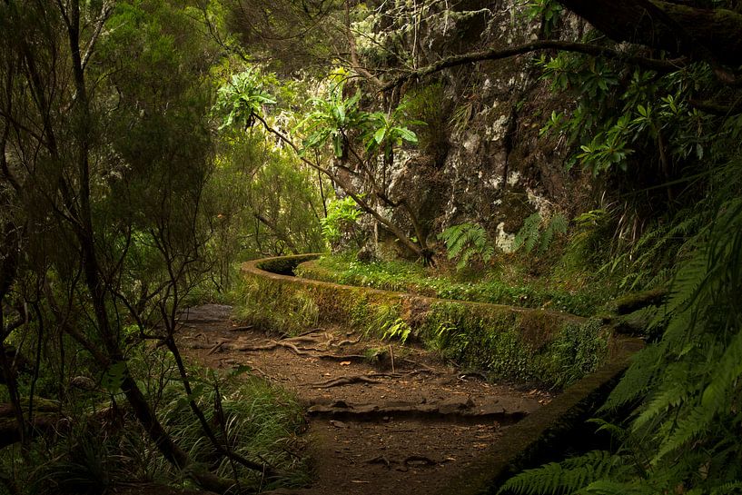 Levada wandelingen over het bloemeneiland Madeira par Paul Wendels