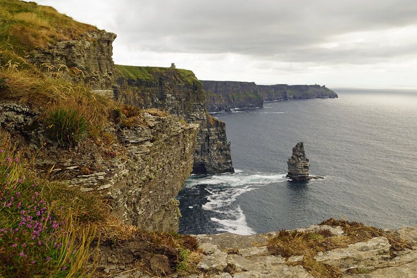 Cliffs of Moher - Irland von Babetts Bildergalerie