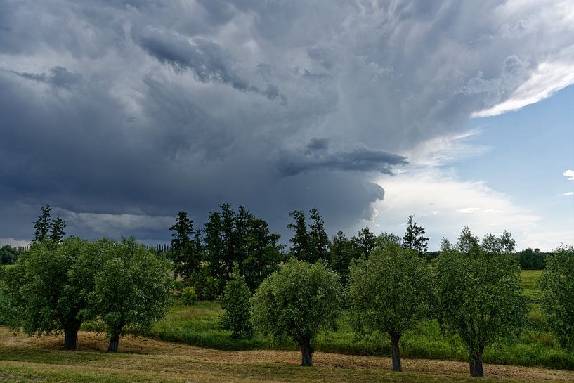Stormy mood by Ralf Lehmann