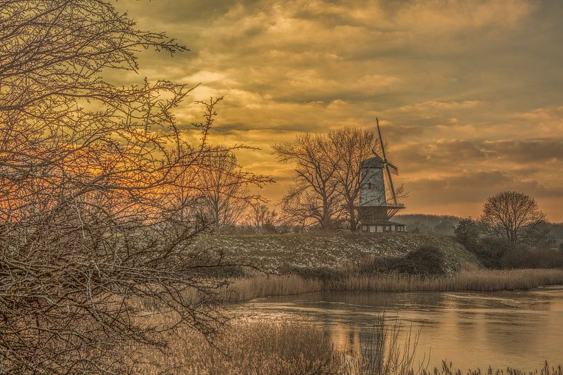de koe van veere von anne droogsma