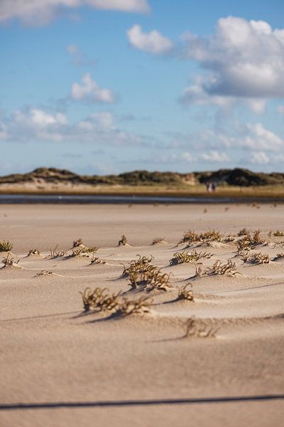 L'éclusier par Rolf Berends