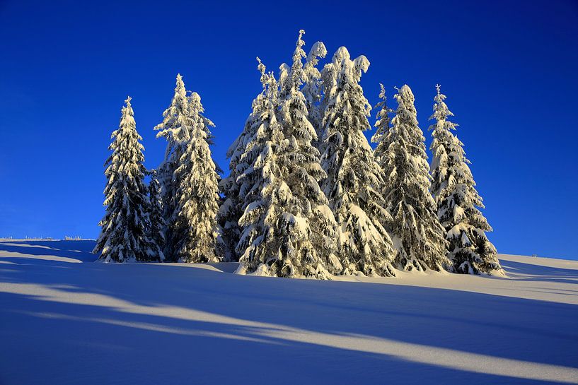 Winter dream Feldberg by Patrick Lohmüller