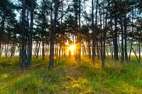 Zonsopgang Drunense Duinen