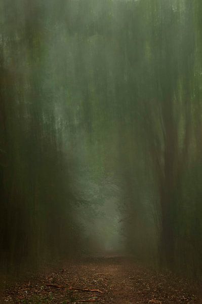 Mustard jar by Isabel Alba Gonzalez