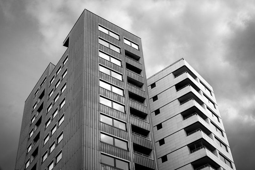 Siblings Against the Sky by Johan Vanbockryck