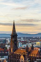 Deutschland, altes münster von freiburg im breisgau