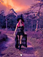 Mystische Begegnungen im Wald