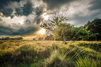 Sable mouvant le soir