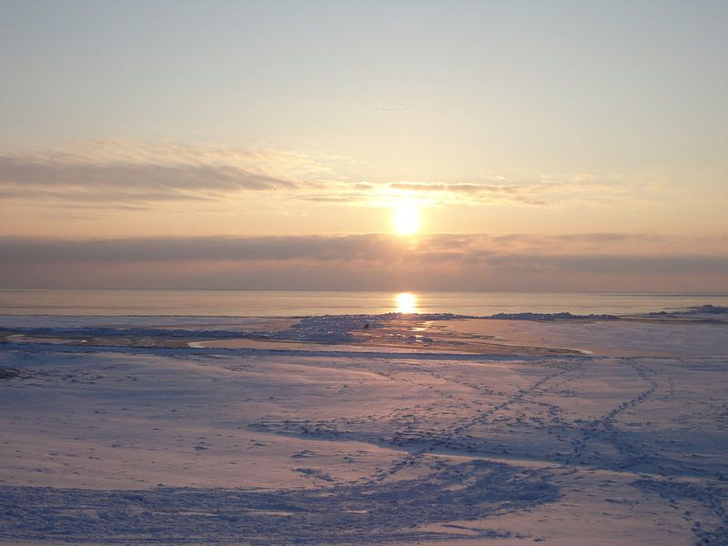 Ondergaande zon in de winter von Froukje Hobma