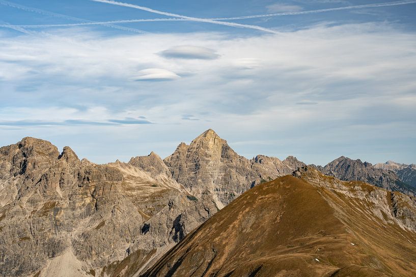 High bird from Raueck by Leo Schindzielorz