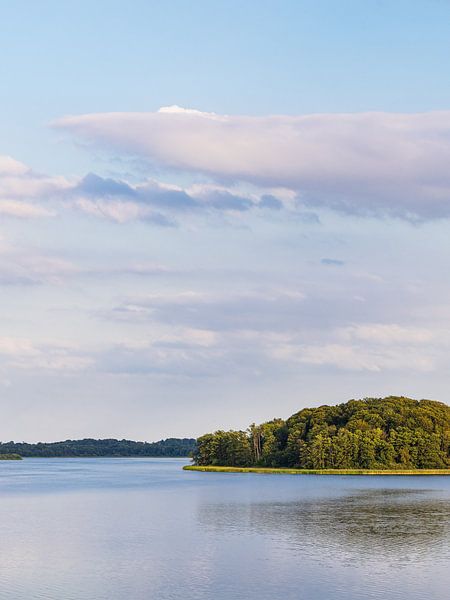 Ausblick mit See und Bäumen in Seedorf am Schaalsee von Rico Ködder
