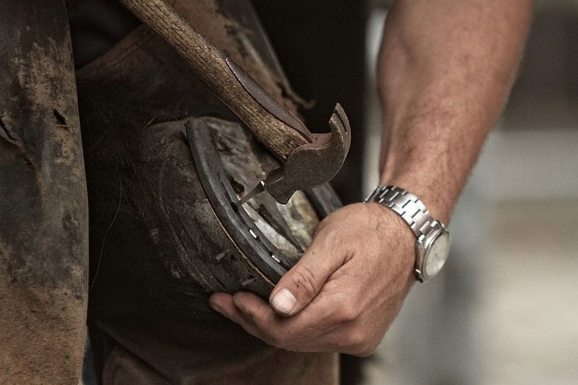 Hoefsmid 15 by Wybrich Warns