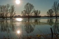 Hochwasser auf der IJssel