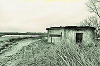Soupe populaire dans une cabane d'observation des oiseaux