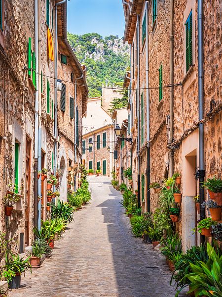 Häuser mit Blumen in Mallorca von Mustafa Kurnaz