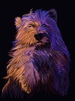 West Highland White Terrier, Westy