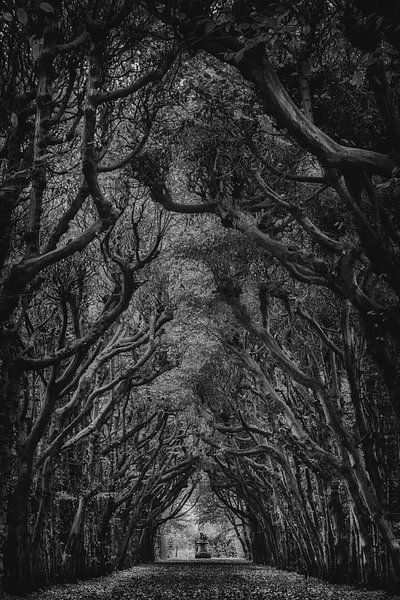 Passage par peter reinders