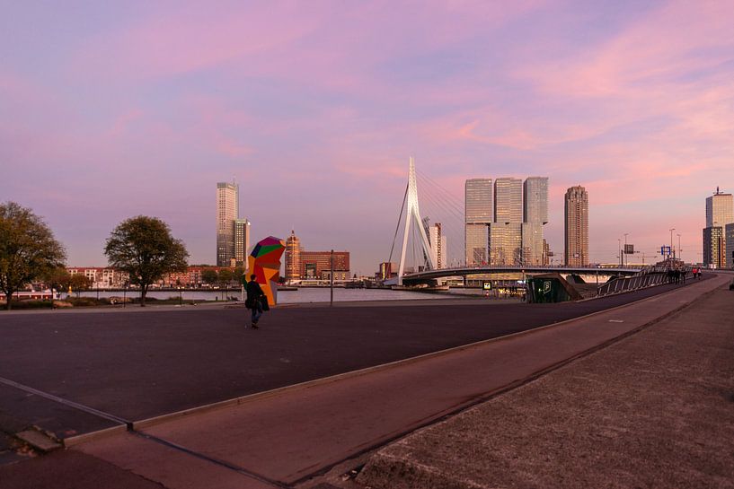 Erasmusbrücke im letzten Sonnenlicht von Brian Morgan