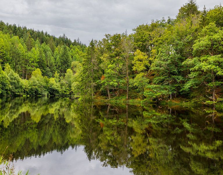 eine schöne Reihe von grünen Bäumen am Wasser im Morvan in Frankreich von ChrisWillemsen
