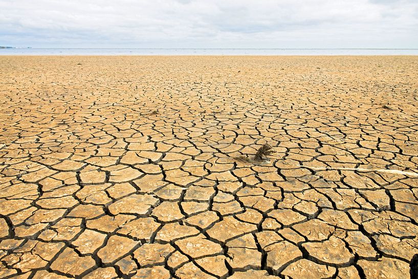 Gescheurde grond par Hans Kerchman