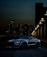 Mustang