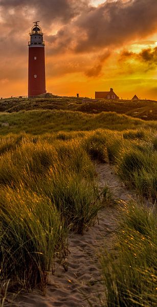 Soirée phare par Andy Luberti