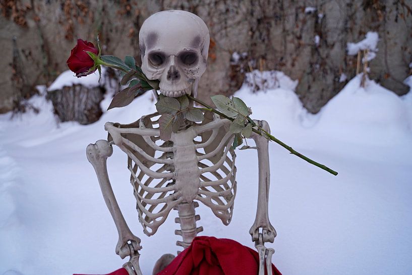 Squelette d'amour éternel avec une rose rouge dans la neige blanche par Babetts Bildergalerie
