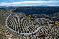Schlucht von Gor, Andalusien