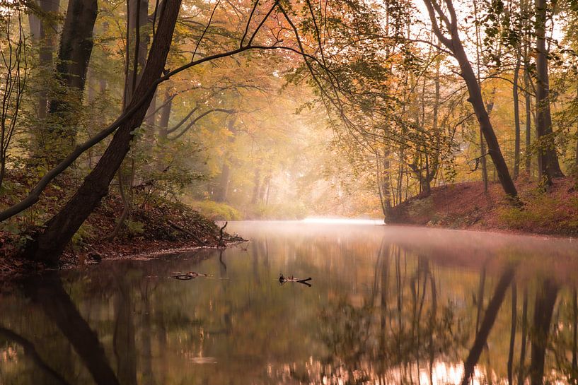 Silence by Rob Willemsen photography