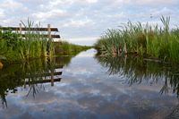Wolkenreflecties in de sloot