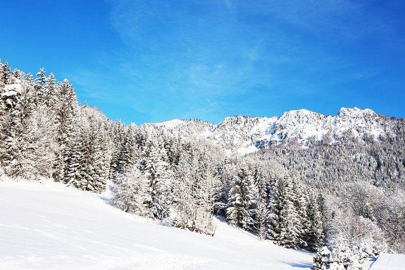 Snow landscape by Frank Herrmann