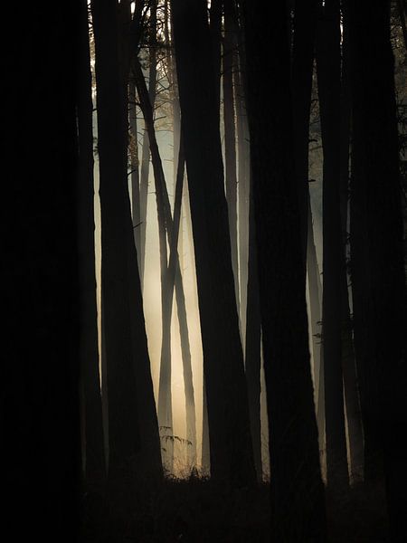 The X-Files von Jakub Wencek