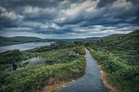 Painting Look - Glenveagh National Park Hiking Trail