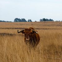 Just a minute, what are you doing there?