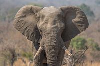 Les yeux dans les yeux