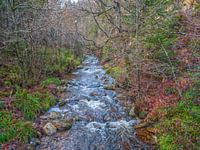 fließender Fluss mit schöner Natur