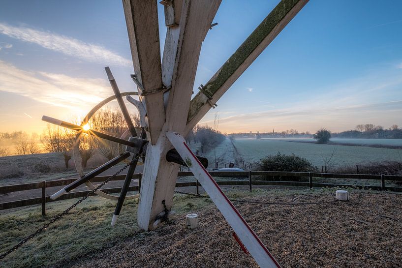 Kruirad of kruiwiel van korenmolen De Hoop by Moetwil en van Dijk - Fotografie