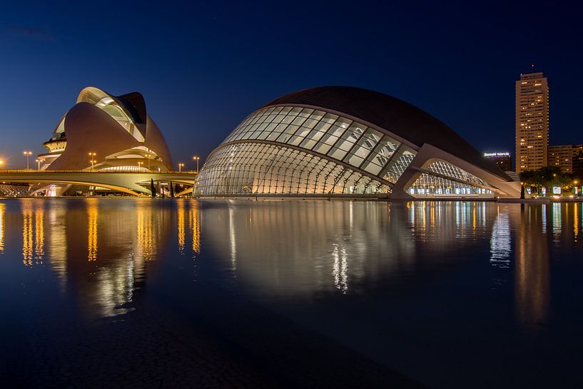 City of Arts and Sciences (Valencia)  von Bert Meijer