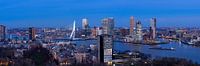 Skyline Rotterdam III