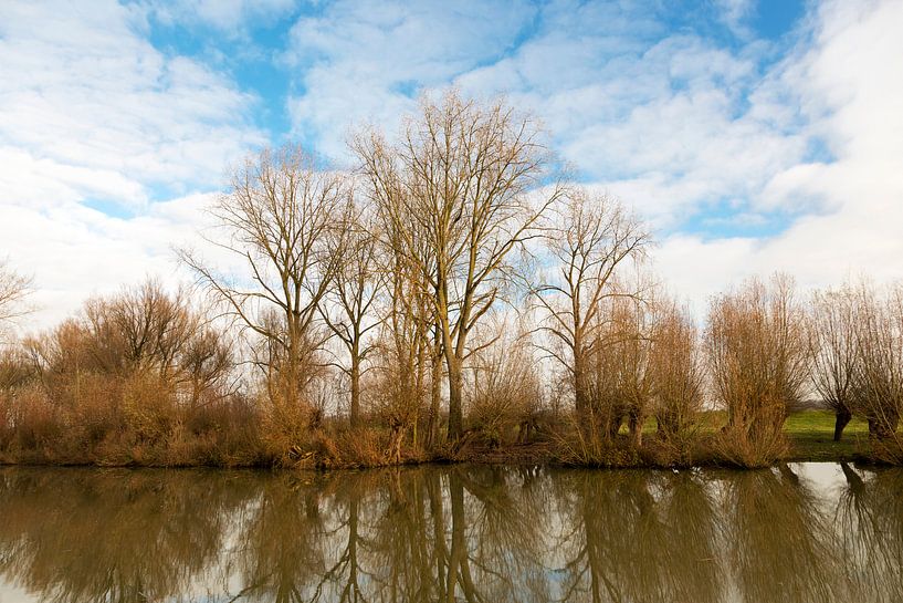 herfstbomen reflecteren in het water by Bernadet Gribnau