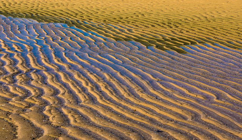 1677 Plage par Adrien Hendrickx