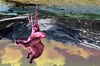 festhalten Elefanten!!!