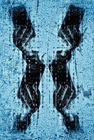 Entdeckung des X-Chromophons