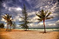 Phu Quoc 'Treelogie'